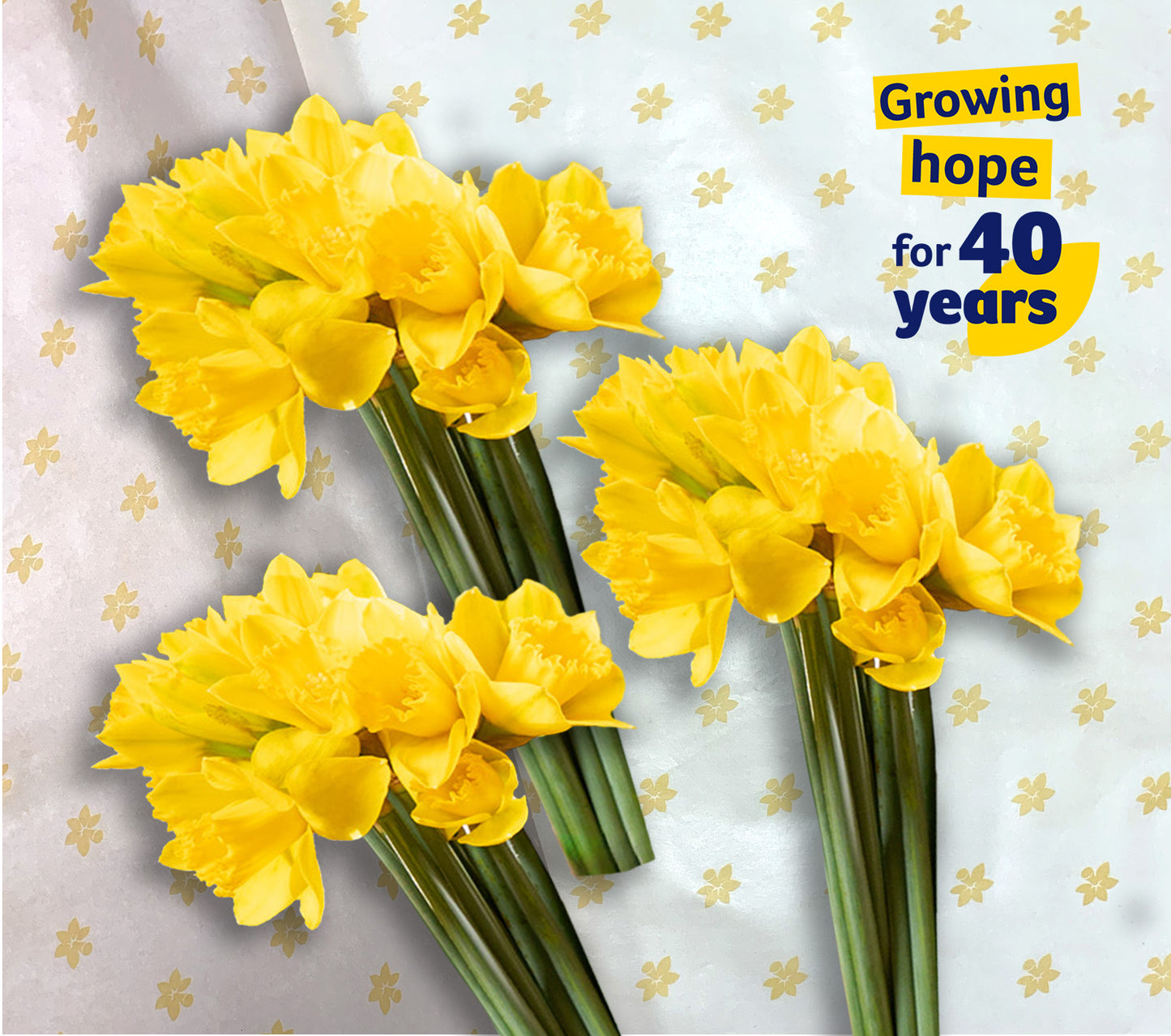 40th Anniversary Bunch